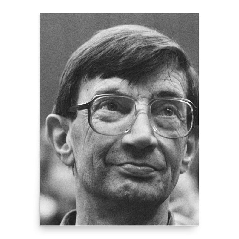 Anne Vermeer poster print, in size 18x24 inches.