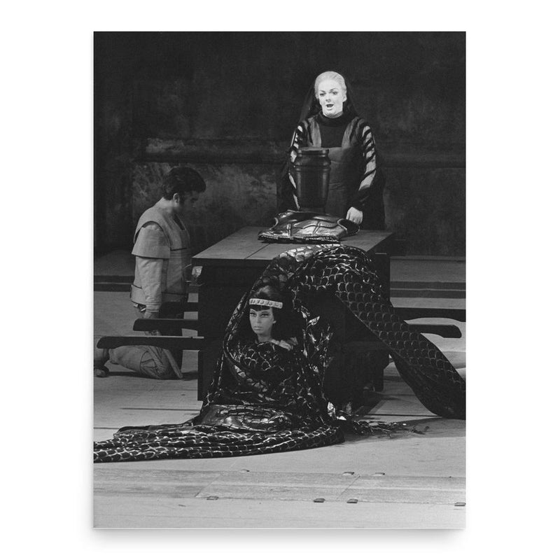 Annelies Burmeister poster print, in size 18x24 inches.