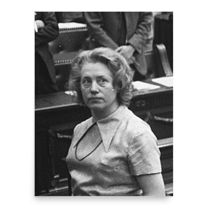 Annemiek Padt-Jansen poster print, in size 18x24 inches.