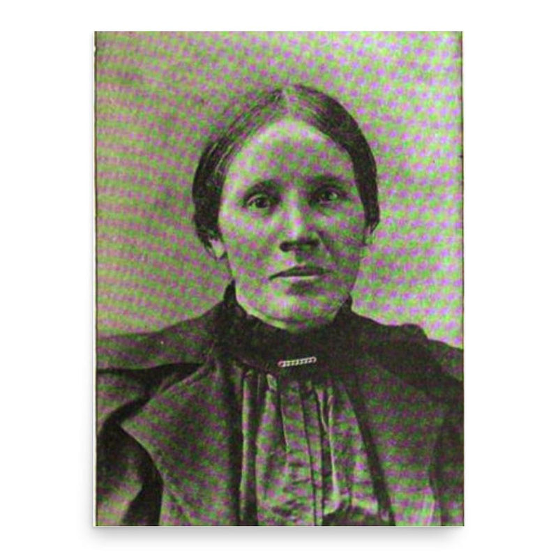 Annie Royle Taylor poster print, in size 18x24 inches.