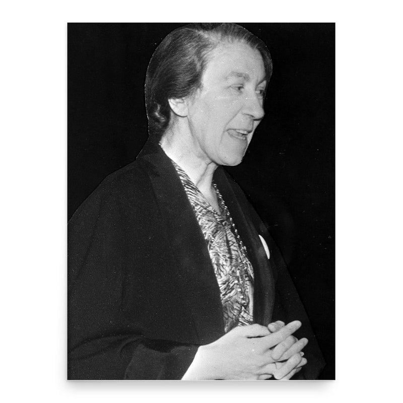 Annis Gillie poster print, in size 18x24 inches.