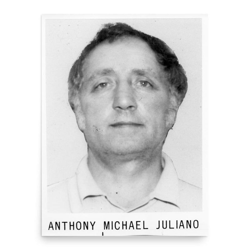 Anthony Michael Juliano poster print, in size 18x24 inches.