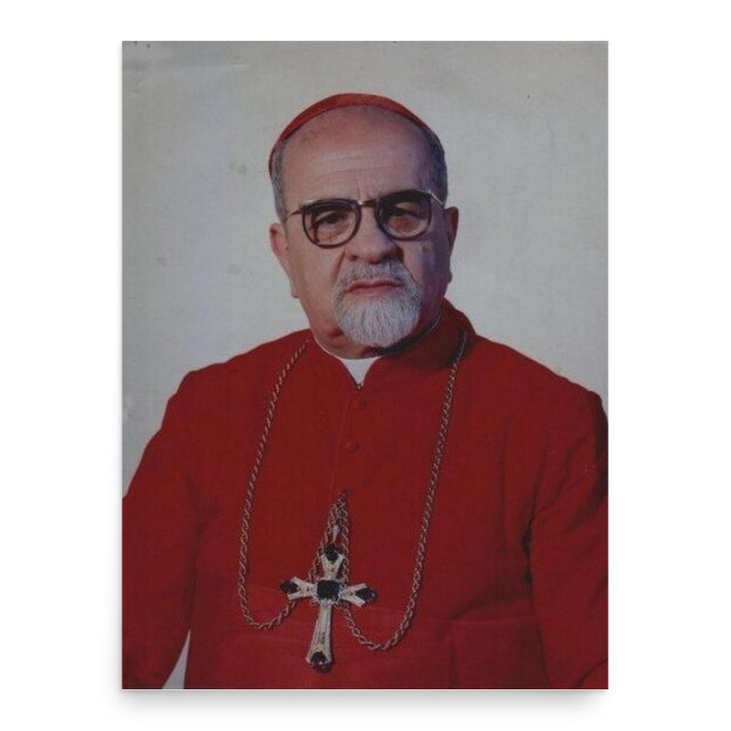 Anthony Peter Khoraish poster print, in size 18x24 inches.