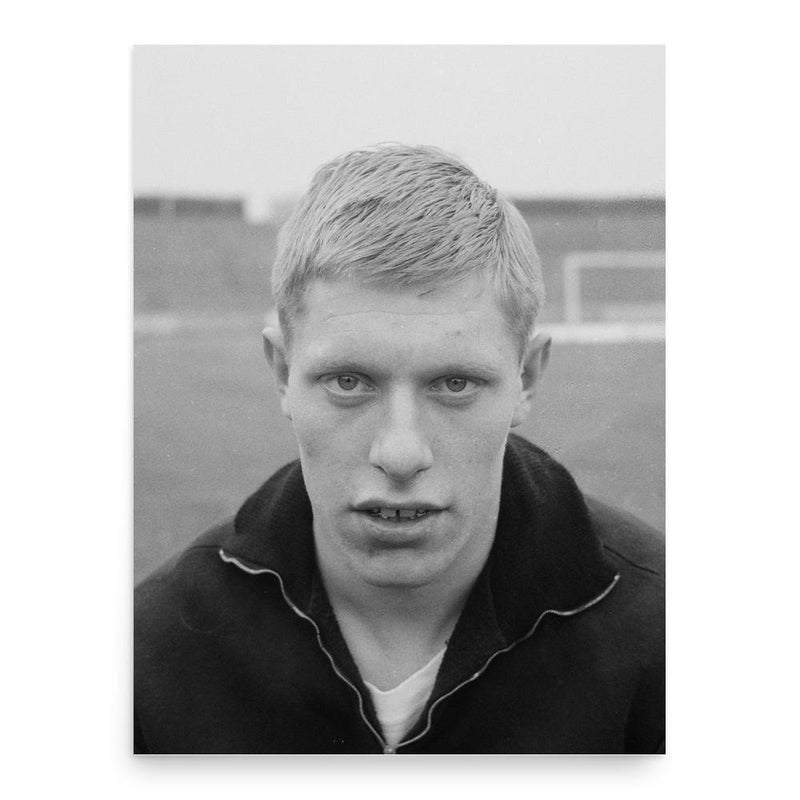 Anton Pronk poster print, in size 18x24 inches.