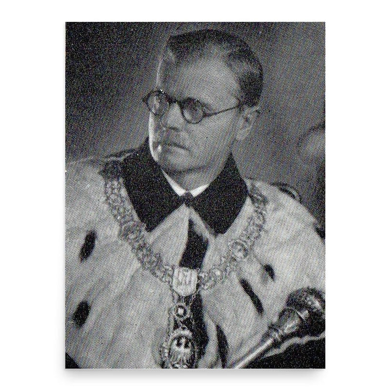 Antoni Peretiatkowicz poster print, in size 18x24 inches.