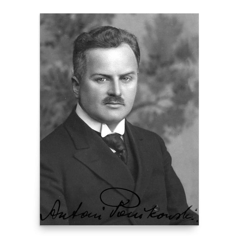 Antoni Ponikowski poster print, in size 18x24 inches.