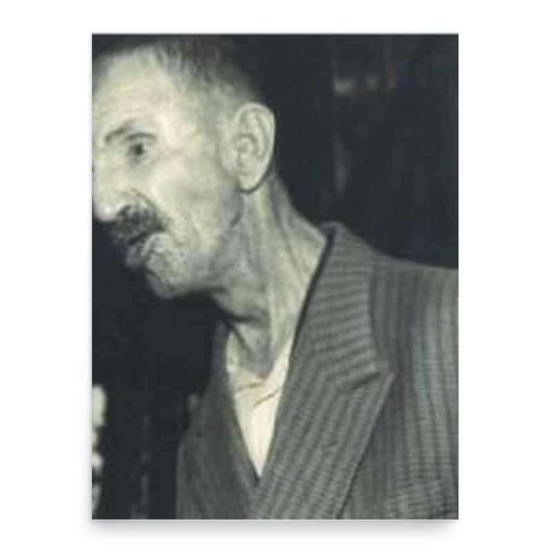 Antonio Ligabue poster print, in size 18x24 inches.