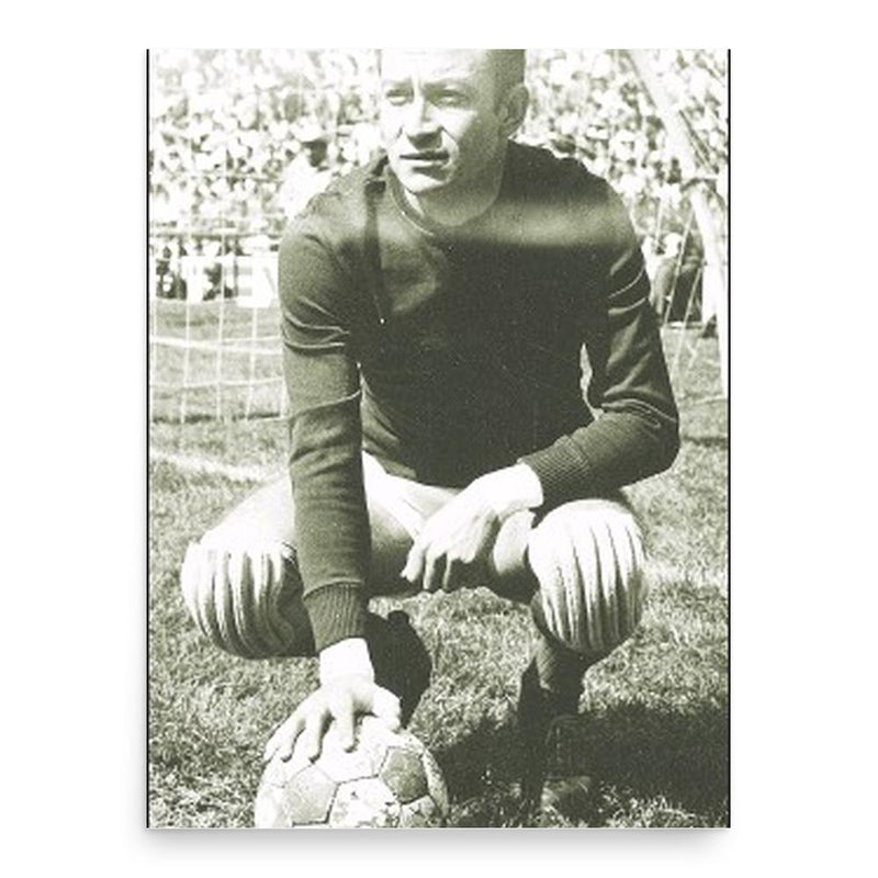 Antonio Mota poster print, in size 18x24 inches.