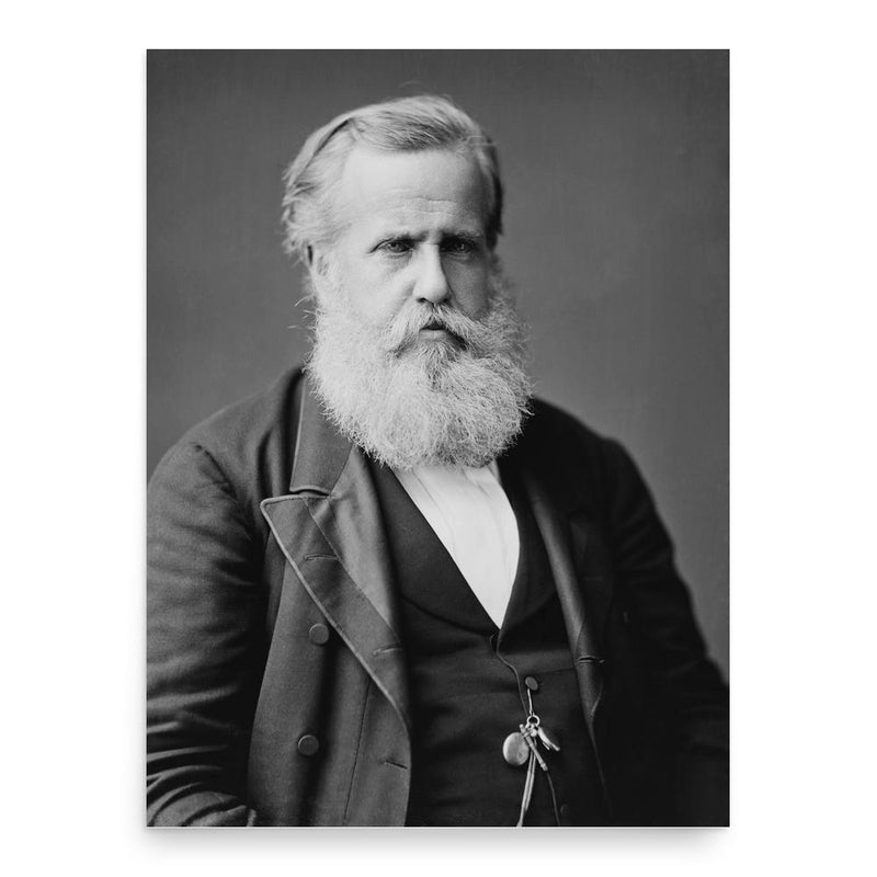 Apogee of Pedro II of Brazil poster print, in size 18x24 inches.