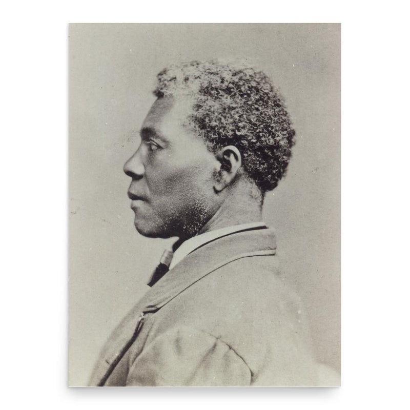 Archer Alexander poster print, in size 18x24 inches.