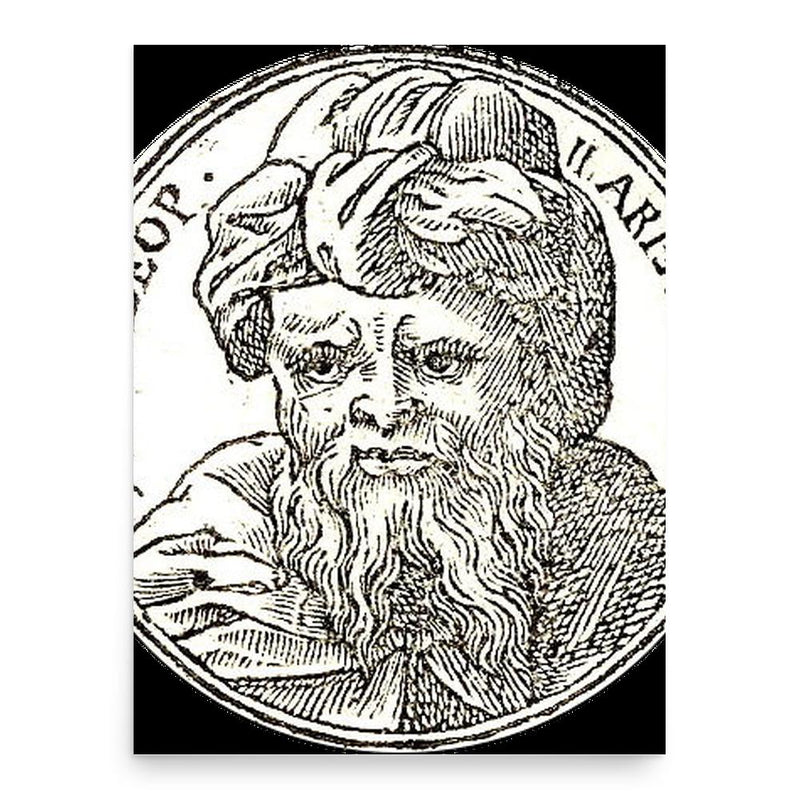 Aristobulus II poster print, in size 18x24 inches.