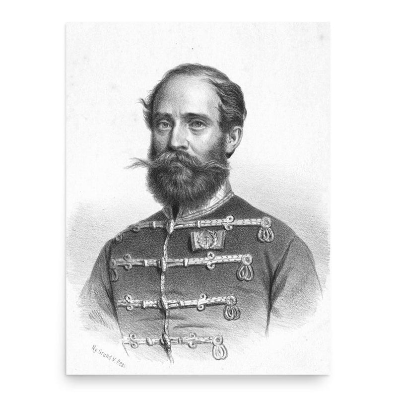 Arisztid Dessewffy poster print, in size 18x24 inches.