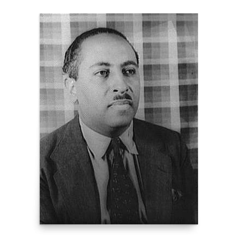 Arna Bontemps poster print, in size 18x24 inches.