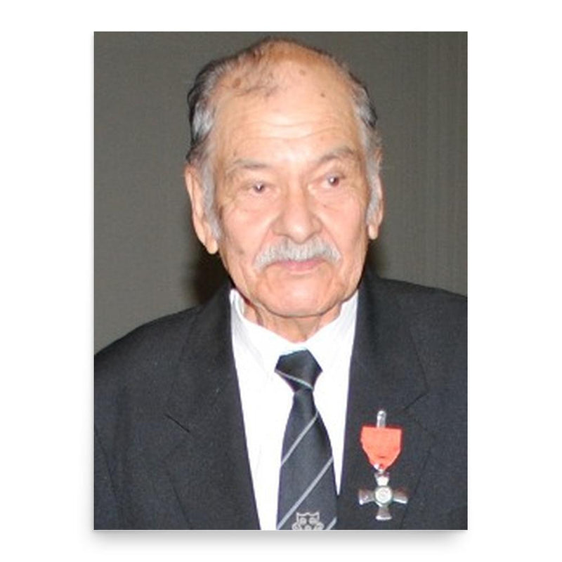 Arnold Manaaki Wilson poster print, in size 18x24 inches.