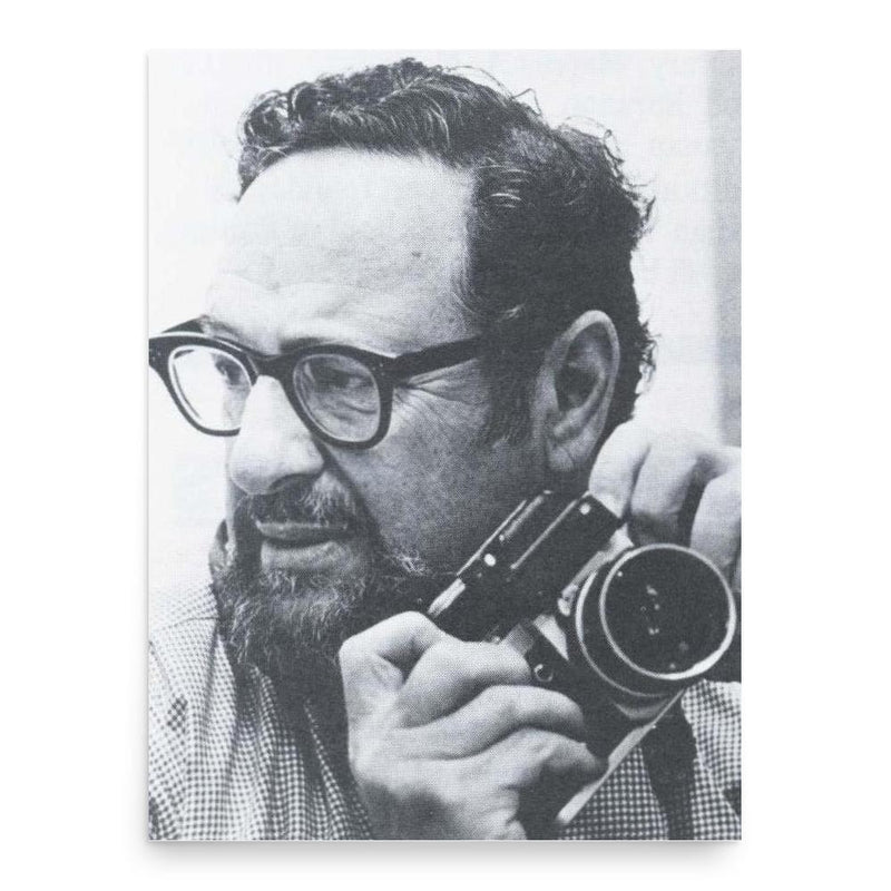 Arnold Newman poster print, in size 18x24 inches.