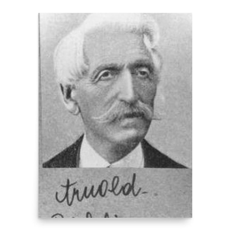 Arnold Rikli poster print, in size 18x24 inches.