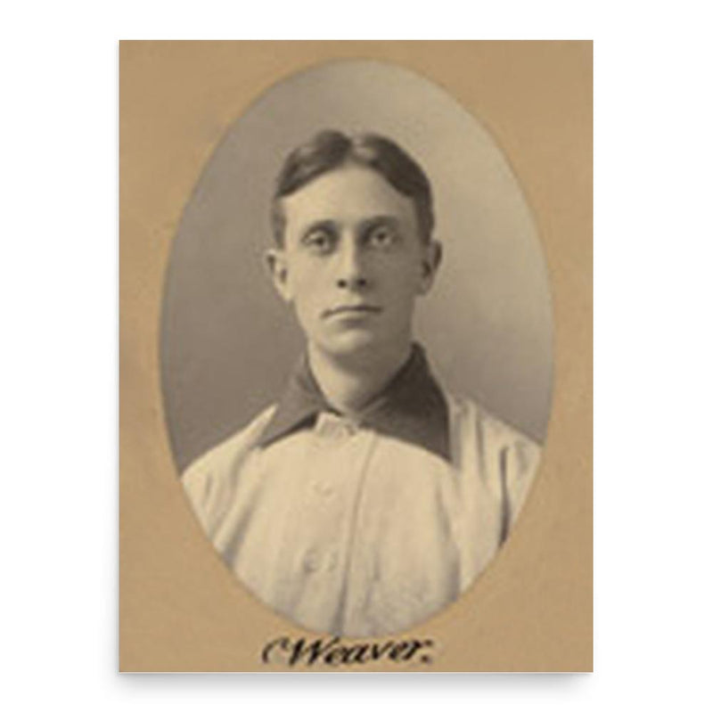 Art Weaver poster print, in size 18x24 inches.