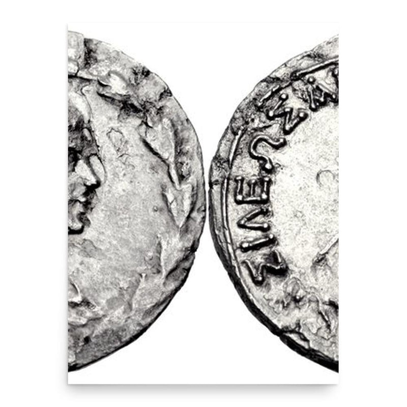 Artaxias II poster print, in size 18x24 inches.