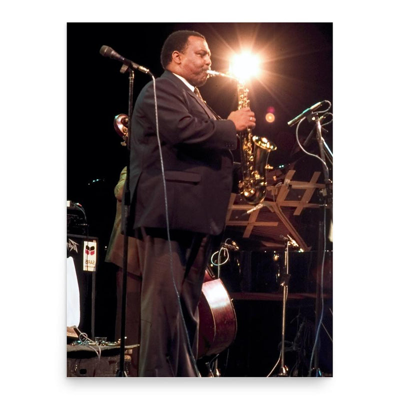 Arthur Blythe poster print, in size 18x24 inches.
