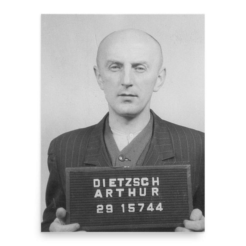 Arthur Dietzsch poster print, in size 18x24 inches.