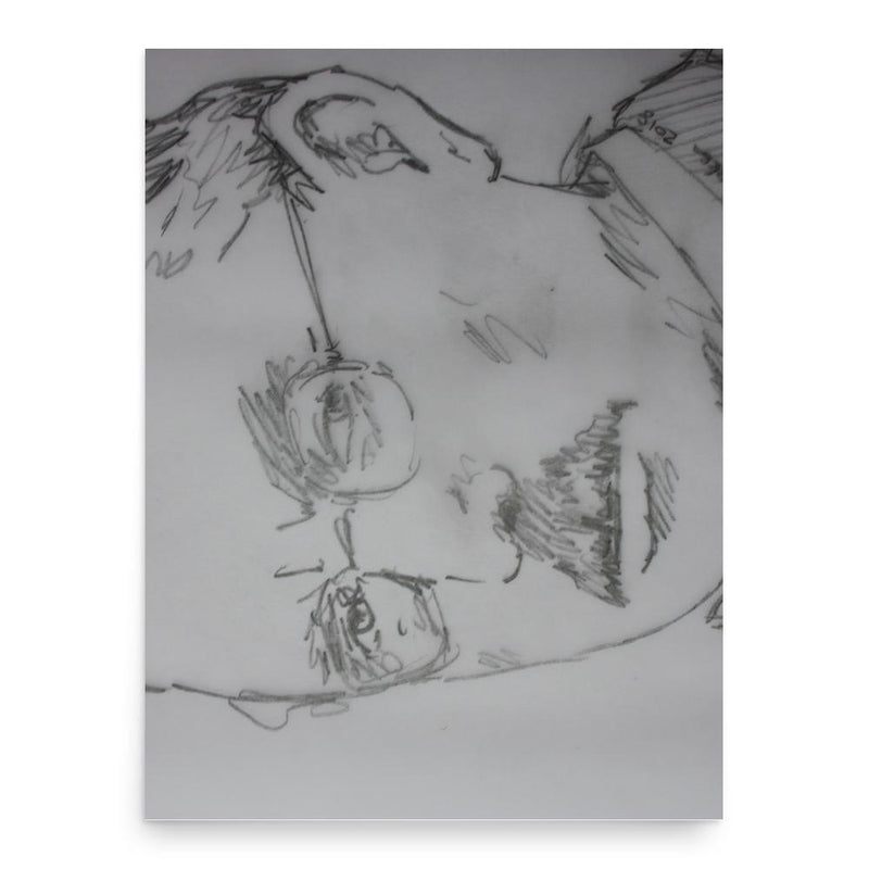 Arthur Henry Havens Sinclair poster print, in size 18x24 inches.