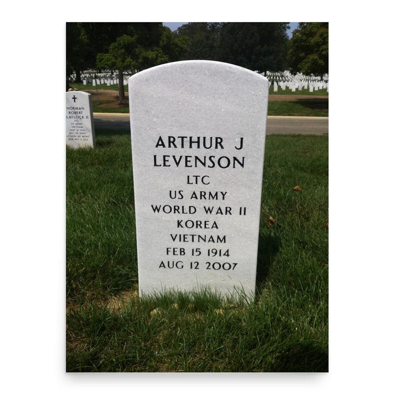 Arthur Levenson poster print, in size 18x24 inches.