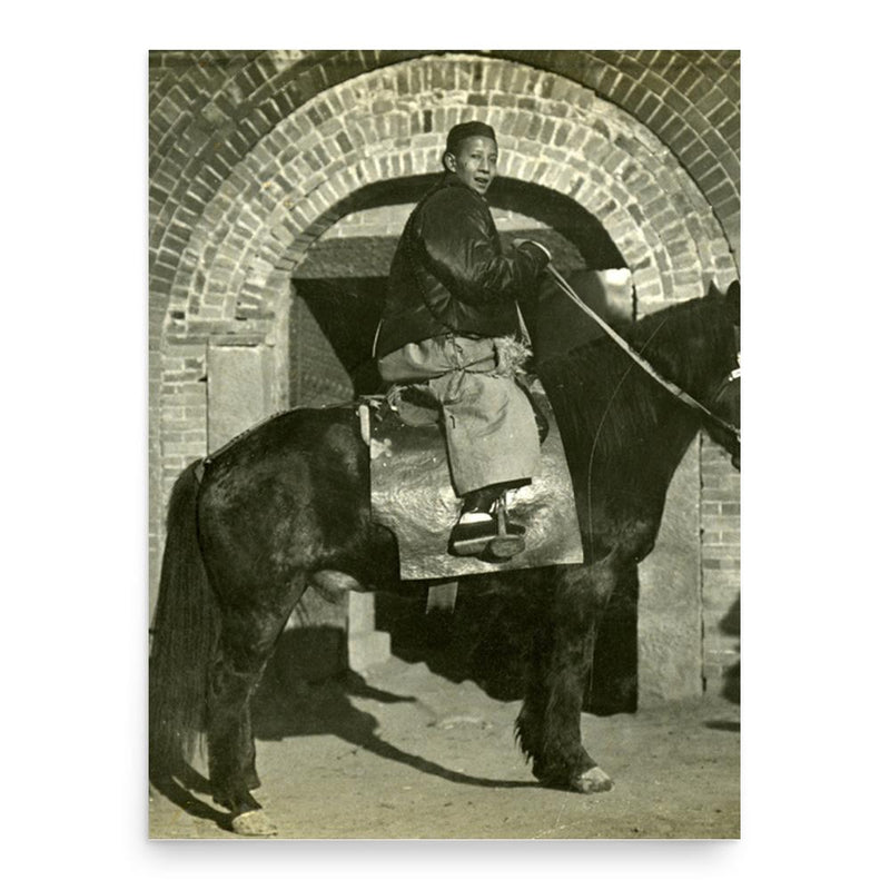 Arthur de Carle Sowerby poster print, in size 18x24 inches.