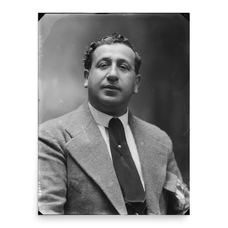 Arturo Falconi poster print, in size 18x24 inches.