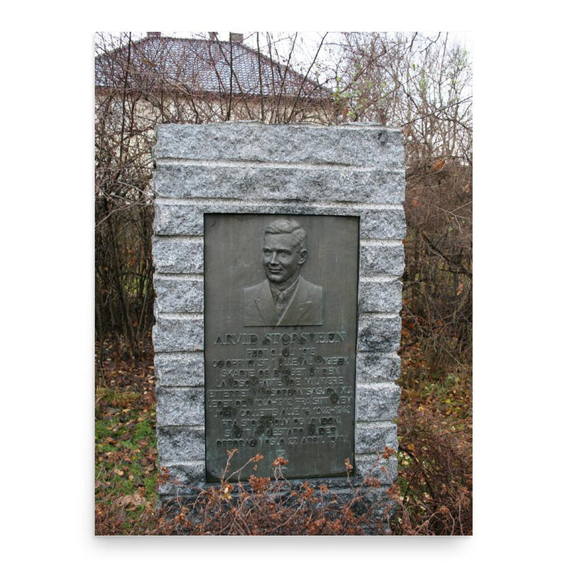 Arvid Storsveen poster print, in size 18x24 inches.