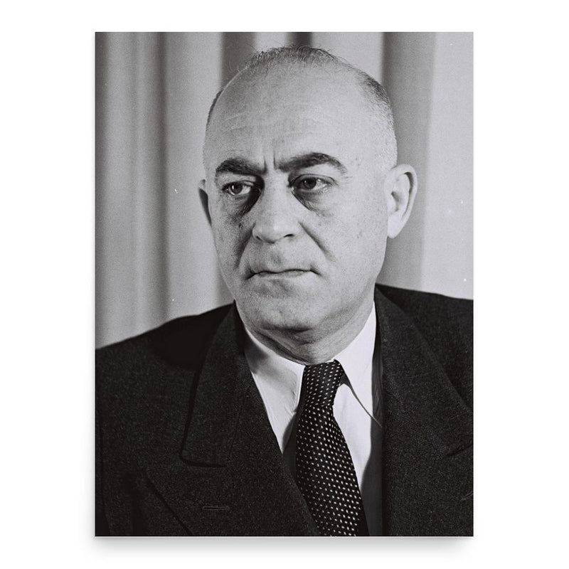 Aryeh Altman poster print, in size 18x24 inches.