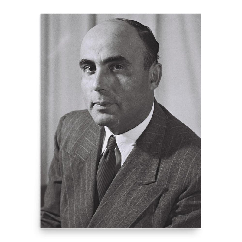 Aryeh Ben-Eliezer poster print, in size 18x24 inches.