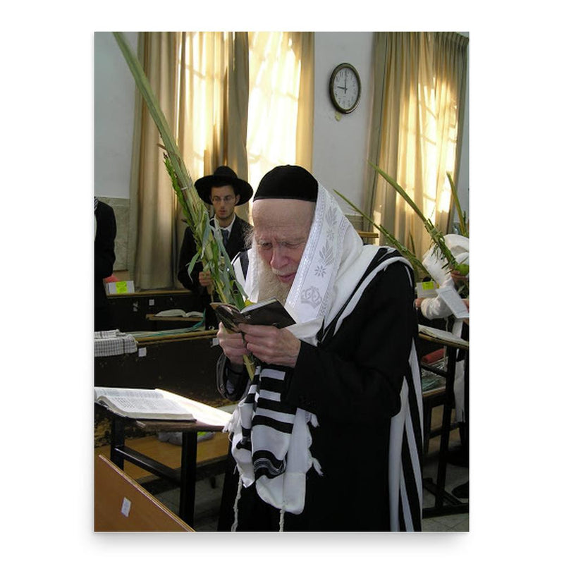 Aryeh Finkel poster print, in size 18x24 inches.