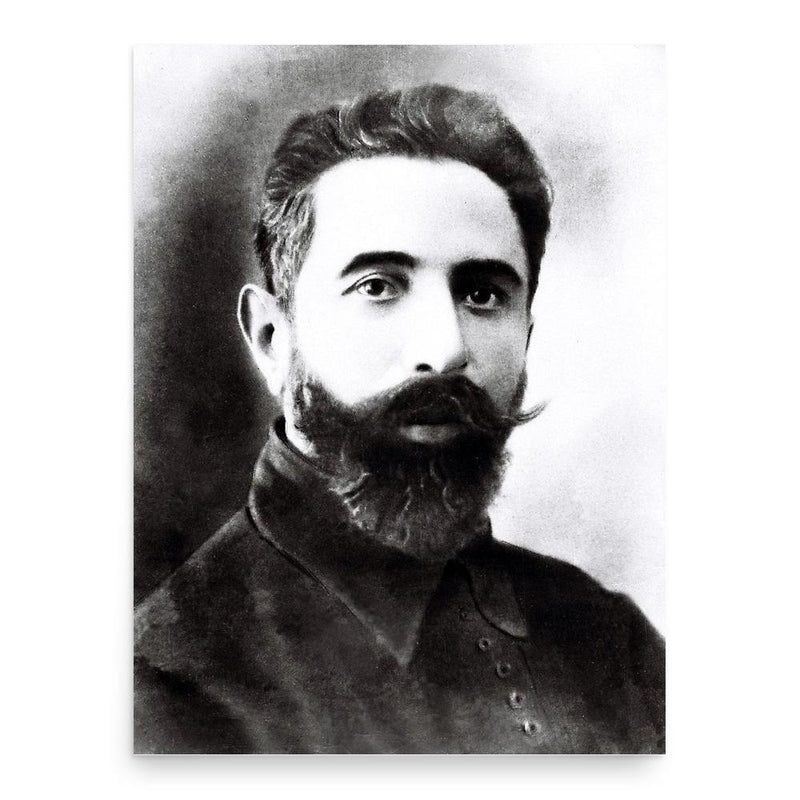 Aslan bey Safikurdski poster print, in size 18x24 inches.