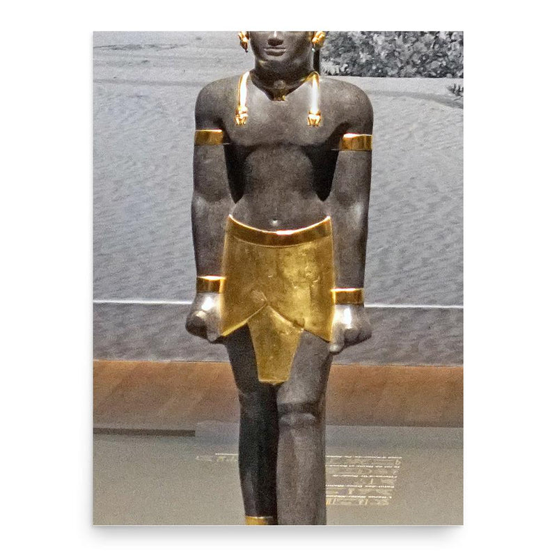 Aspelta poster print, in size 18x24 inches.