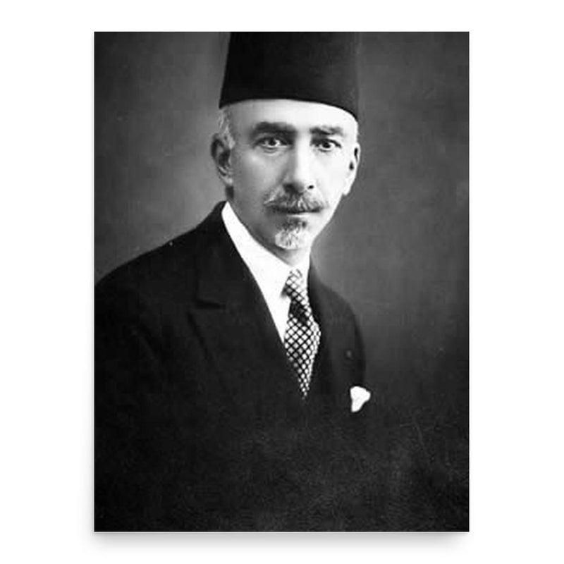 Ata Bey al-Ayyubi poster print, in size 18x24 inches.