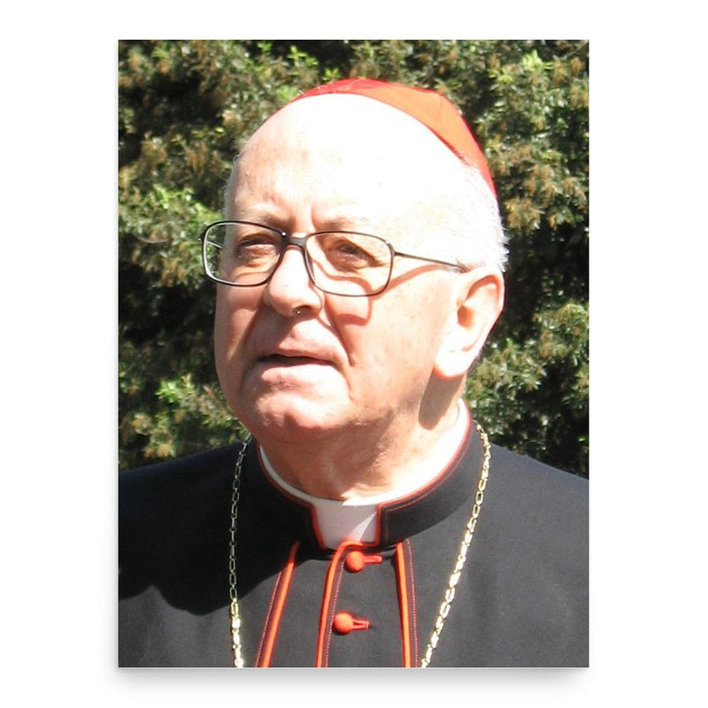 Attilio Nicora poster print, in size 18x24 inches.