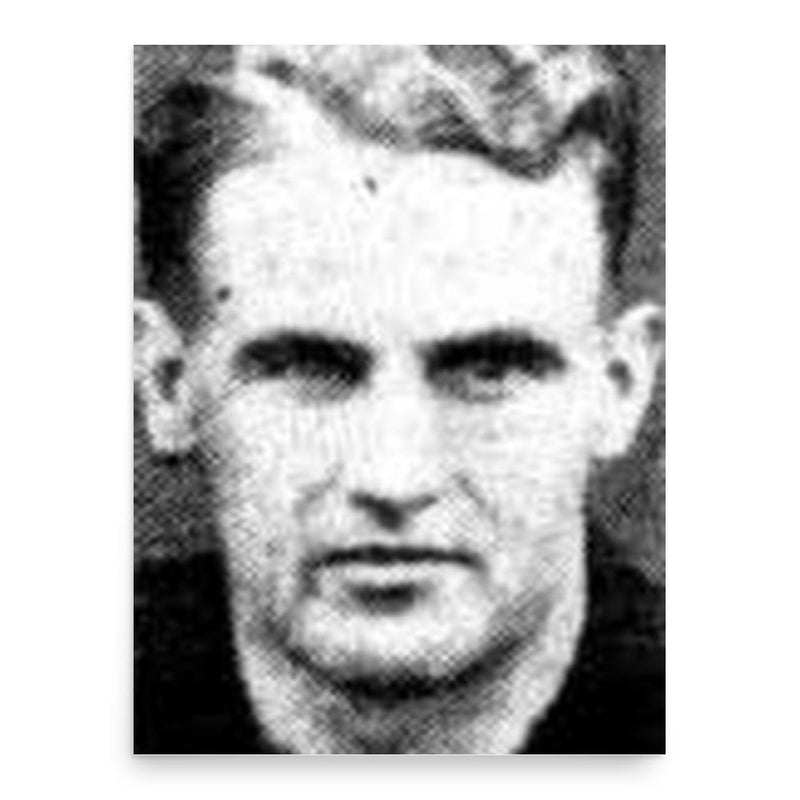 Audley Gillespie-Jones poster print, in size 18x24 inches.