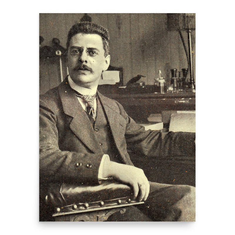 August Adriaan Pulle poster print, in size 18x24 inches.