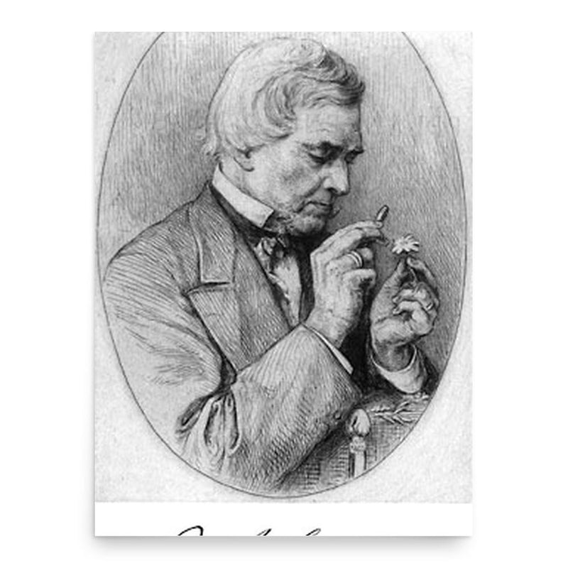 August Grisebach poster print, in size 18x24 inches.