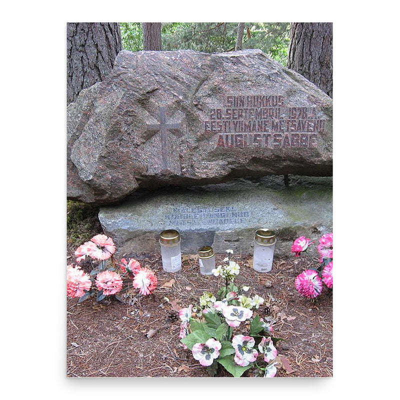 August Sabbe poster print, in size 18x24 inches.