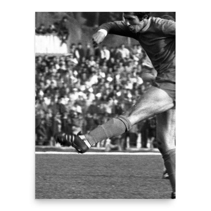 Augustin Deleanu poster print, in size 18x24 inches.