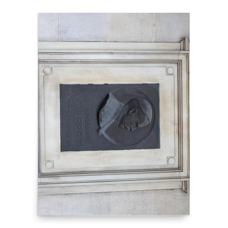 Augustin Nicolas Gilbert poster print, in size 18x24 inches.