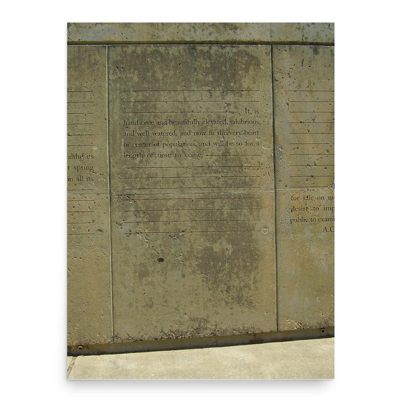 Augustus Chapman Allen poster print, in size 18x24 inches.