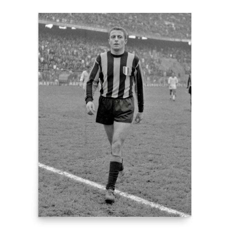 Aurelio Milani poster print, in size 18x24 inches.