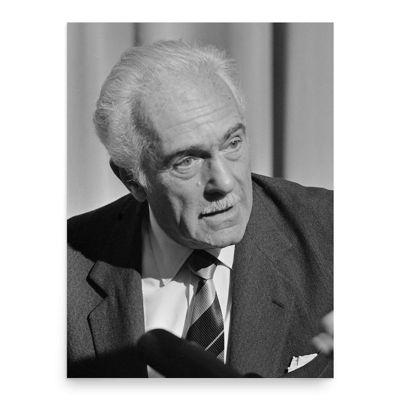 Aurelio Peccei poster print, in size 18x24 inches.