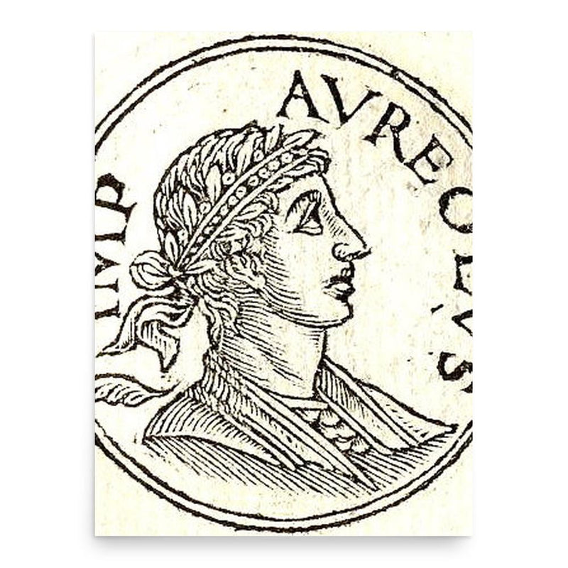 Aureolus poster print, in size 18x24 inches.