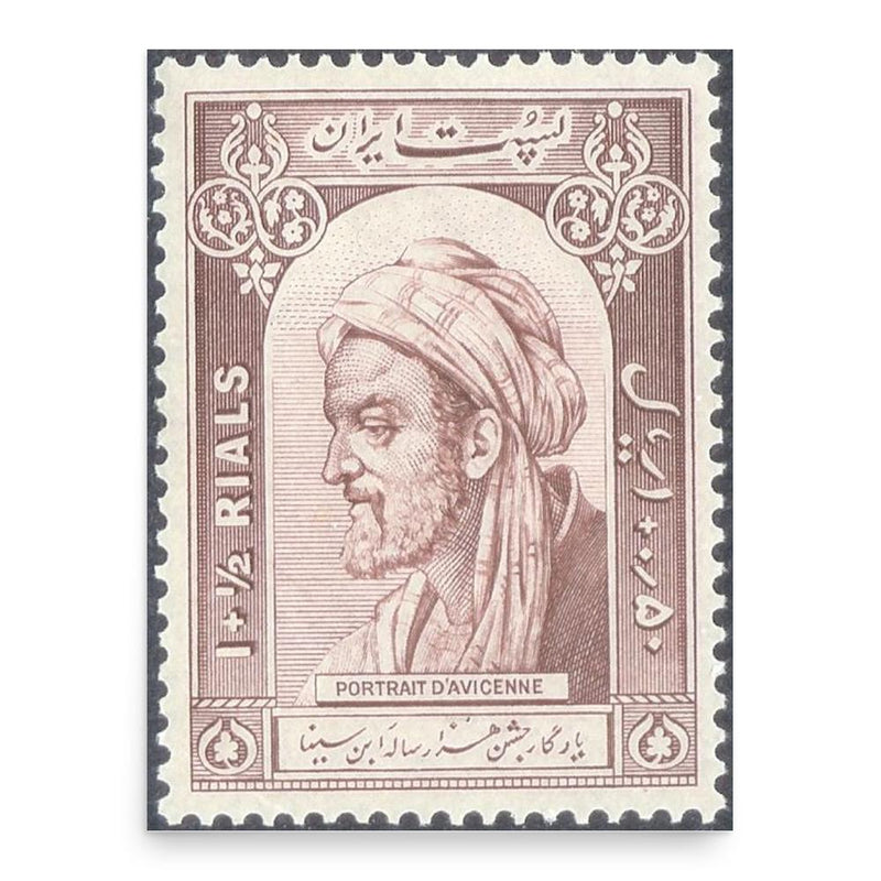 Avicenna poster print, in size 18x24 inches.