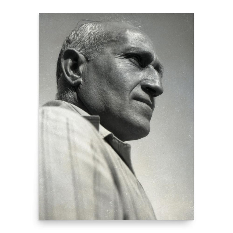 Avraham Sharon poster print, in size 18x24 inches.