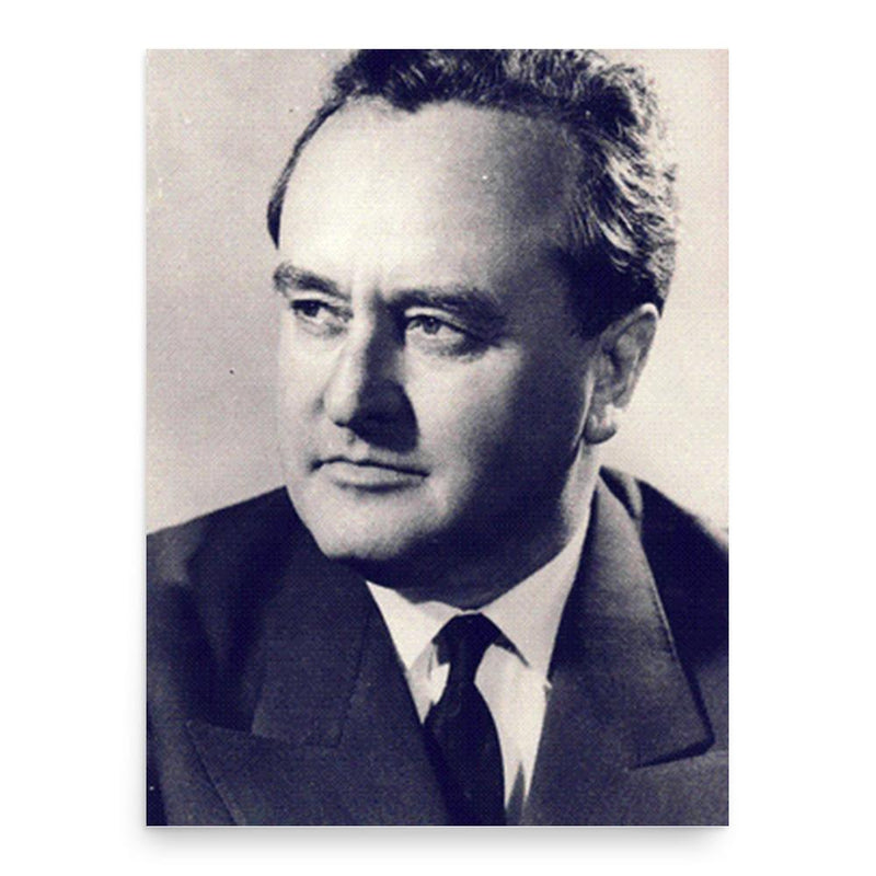 Avram Bunaciu poster print, in size 18x24 inches.