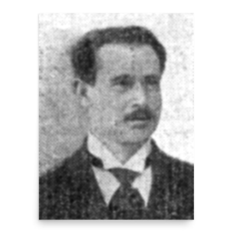 Avram Steuerman-Rodion poster print, in size 18x24 inches.